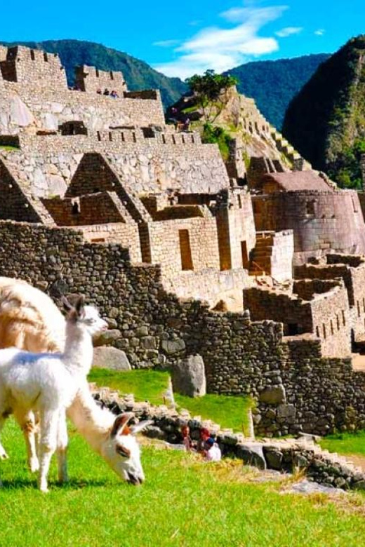 Group Excursion Cusco 5D – Machu Picchu | 3 Star Hotel