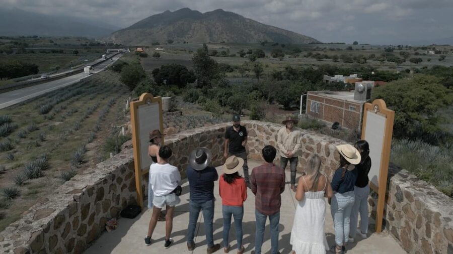 Guadalajara: Tequila Premium Tour With Tastings and Pairings - Tour Overview and Details