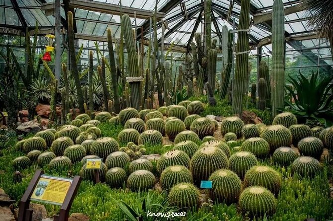Guangzhou South China National Botanical Garden Private Day Tour - Garden Landscapes
