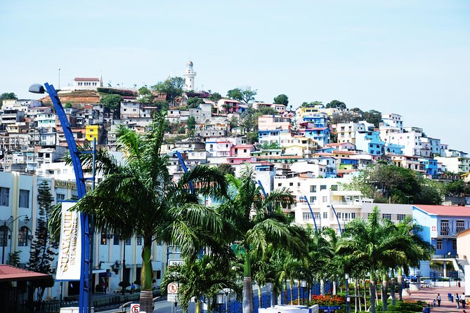 Guayaquil Departure Transfer