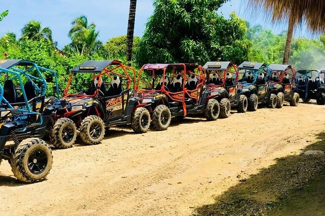 Guided Buggy Tour of Punta Cana - Buggy Tour Itinerary and Highlights