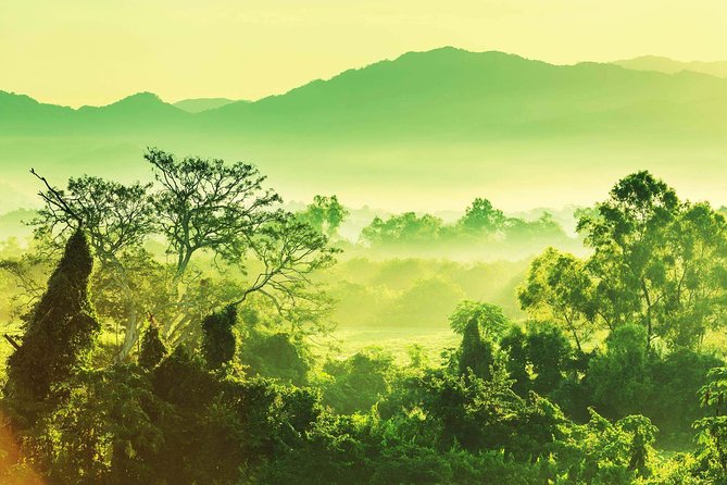 Guided Darien Jungle Experience - 5 Days / 4 Nights - Overview of the Experience