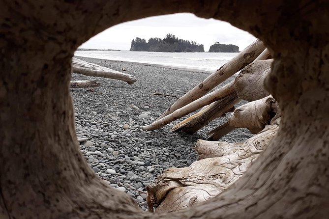 Best Guided Tours In Olympic National Park