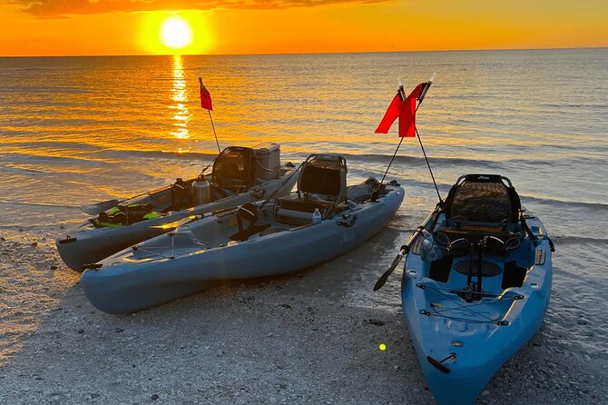Guided Glow LED Kayak Sunset Activity in Bonita Springs - Overview of the Guided Kayak Activity