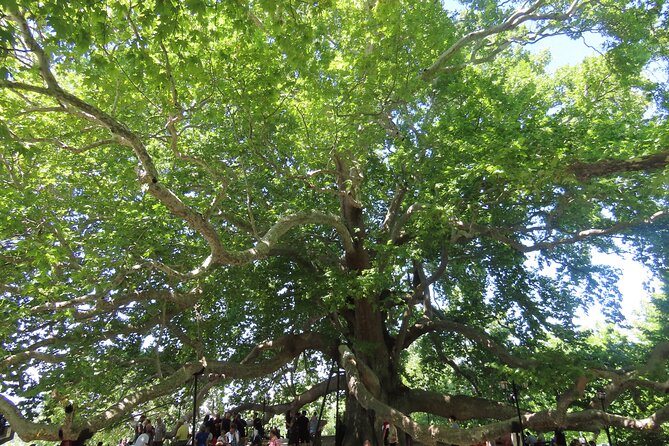 Guided Green Bursa Tour With Cable Car From Istanbul to Uludag