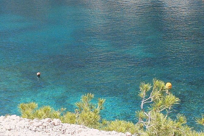 Guided Hike in the Calanques National Park - Meeting Point and Transportation