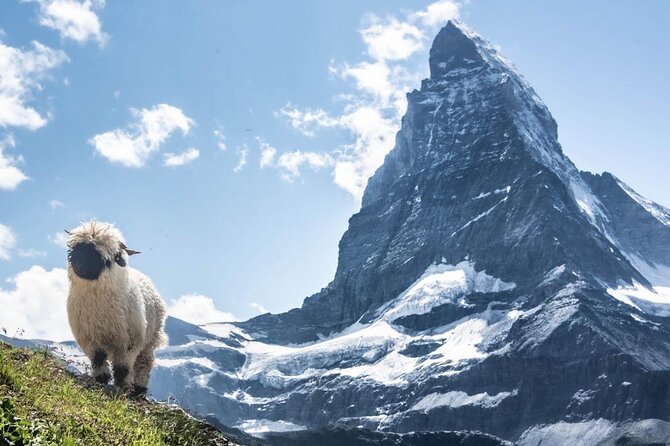 Guided Hiking Full Day in Zermatt