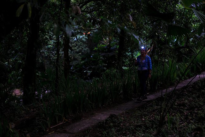 Guided Night Hike Arenal Mundo Aventura - Exploring Arenals Nocturnal Wonders