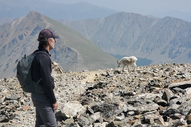 Guided Private Scenic Colorado Mountain Hiking - Half Day - Tour Overview