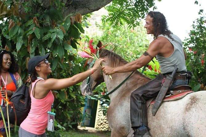 Guided Safari Tour in Punta Cana - Overview of the Safari Tour