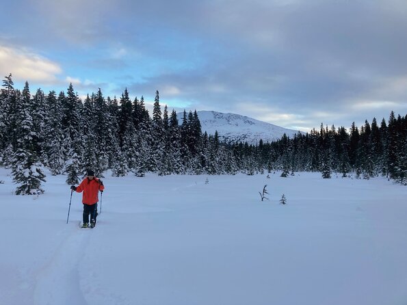 Guided Snowshoeing Adventure in Seward, Alaska