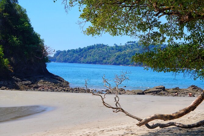 Guided Tour of the National Park Manuel Antonio - Meeting and Pickup