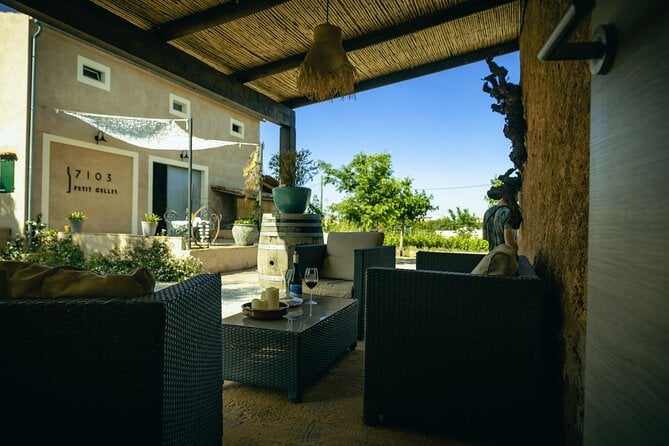Guided Tour of the Winery With Wine Tasting, Vineyard and Much More!