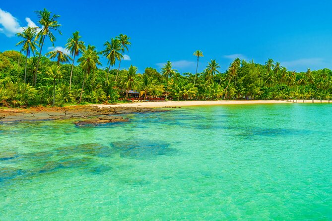 Guided Tour to Saona Island From Punta Cana
