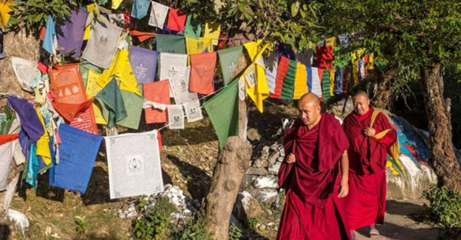 10 Best Guided Tours In Dharamsala