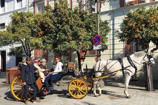 Guided Walking Tour of the Barrio De Santa Cruz
