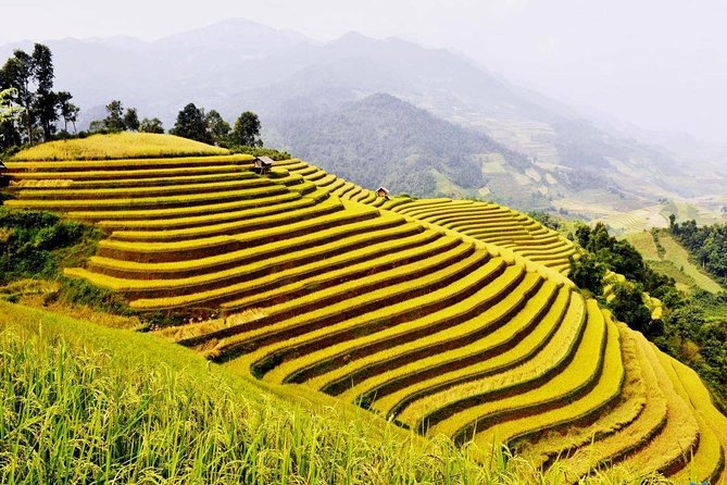 Ha Giang Loop Trekking 4 Days 3 Nights
