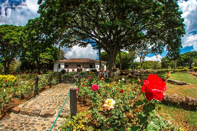 Hacienda El Paraiso and Piedechinche Tour From Cali