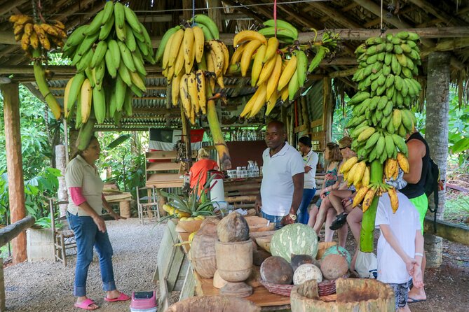 Haitises National Park and Montaña Redonda (Full Day)