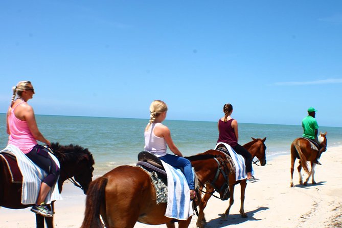 Half Day Beach Horseback Riding in Ocho Rios + Lunch