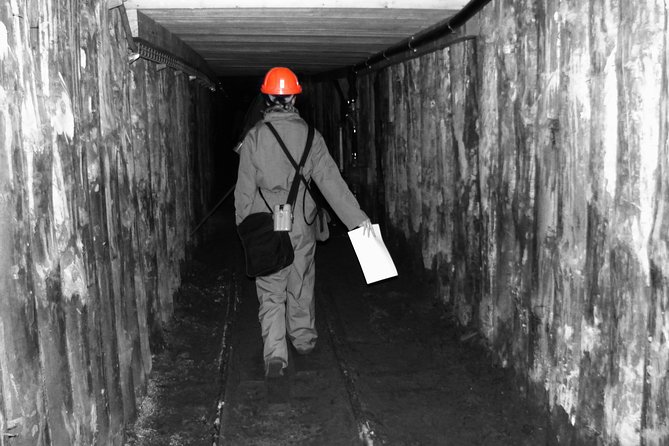 Half-Day Bochnia Salt Mine Private Guided Tour From Krakow