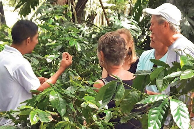 Half-Day Cultural Safari Tour From Cap Cana