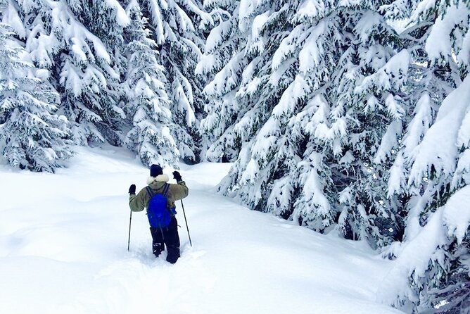 Half-Day Guided Snowshoe Hike in the Allgäu