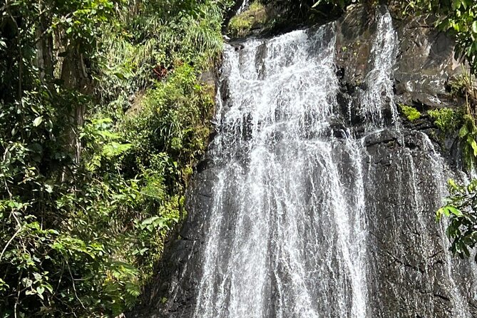 Half Day Guided Tour in El Yunque With Pick up