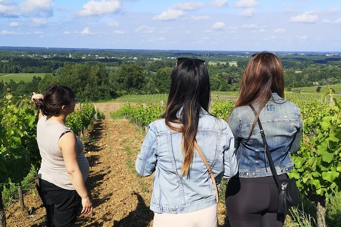 Half-Day in the Bordeaux Vineyard and Wine Tastings