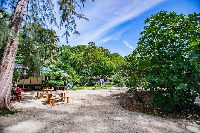 Half-Day Morning Bamboo Island Tour From Phi Phi by Longtail Boat