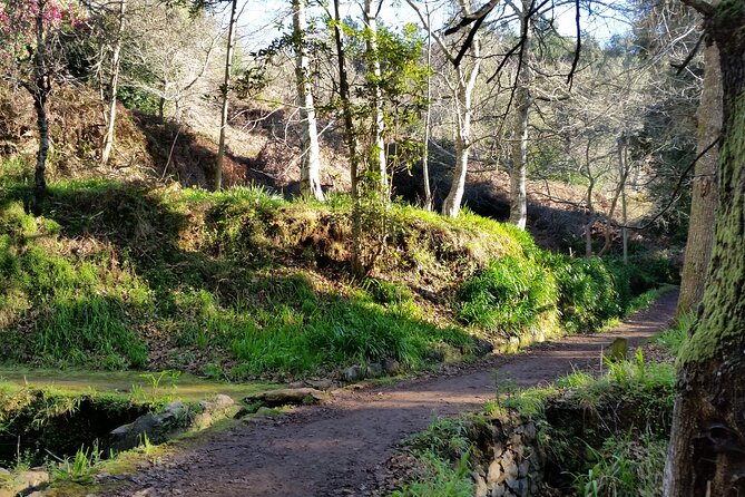 Half-Day Paradise Valley Walking Tour - Tour Details