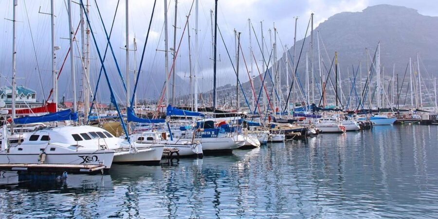 Half Day Penguins Colony and Constantia Wine Tasting Tour