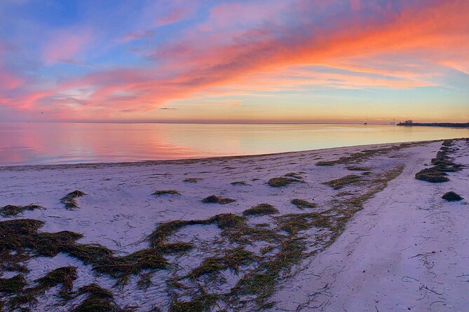 Half-Day Private Guided Nature of Florida's Gulf Coast Eco Tour - Pricing and Availability