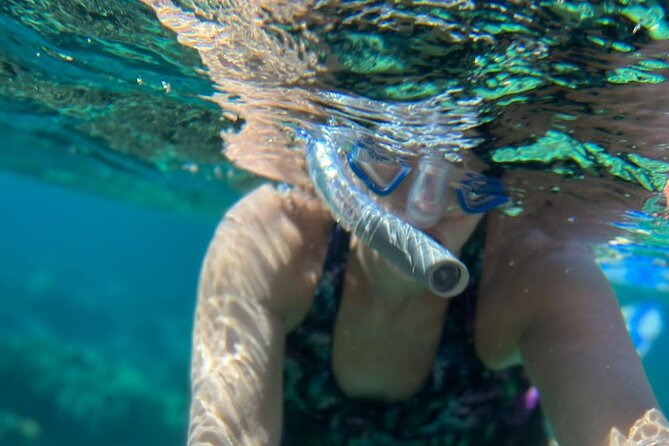 Half-Day Private Roatan Nature Park, Snorkeling, and Beach Tour - Tour Overview