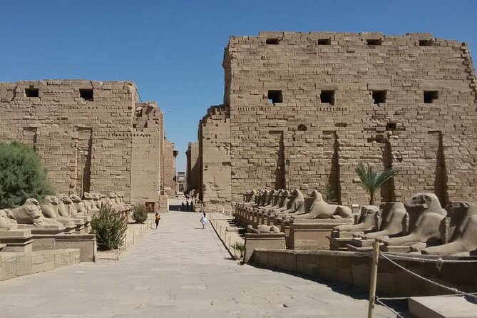 Half-Day Private Tour to Karnak & Luxor Temples From Luxor - Tour Overview
