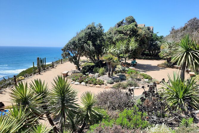 Half Day Self Guided Electric Bike Tour of North San Diego Coast - Scenic Ocean Views