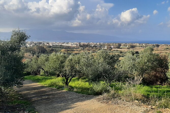 Half Day Shore Excursion in Battle of Crete Greece