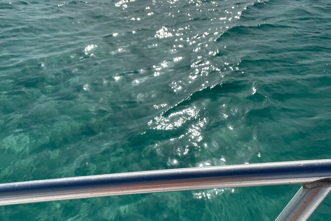 Half-day Snorkeling, Cruising, Iguana Island, Half Moon Bay