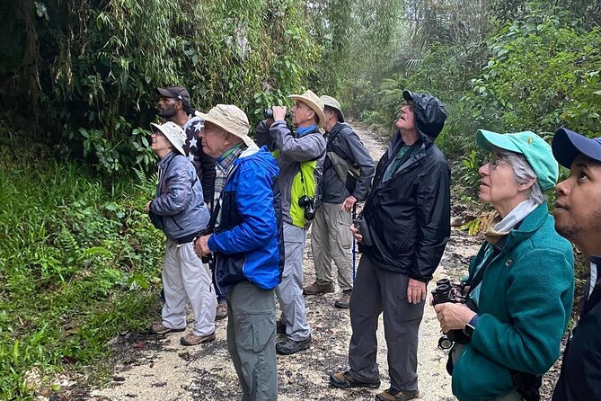 Half Day Tour Bird Watching in the Sierra De Bahoruco