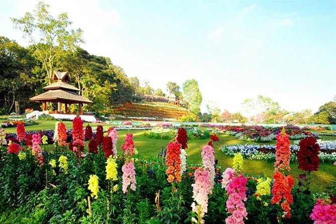 Half Day Tour of Wat Doi Suthep & Phu Ping Palace From Chiang Mai