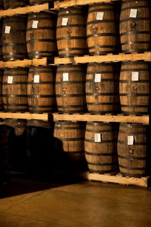 Half-Day Tour: Ron Barceló Factory Exp. From Santo Domingo