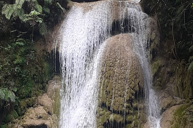 Half Day Tour to El Limón Waterfall With Lunch