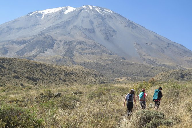 Half Day Trek To Volcan Misti