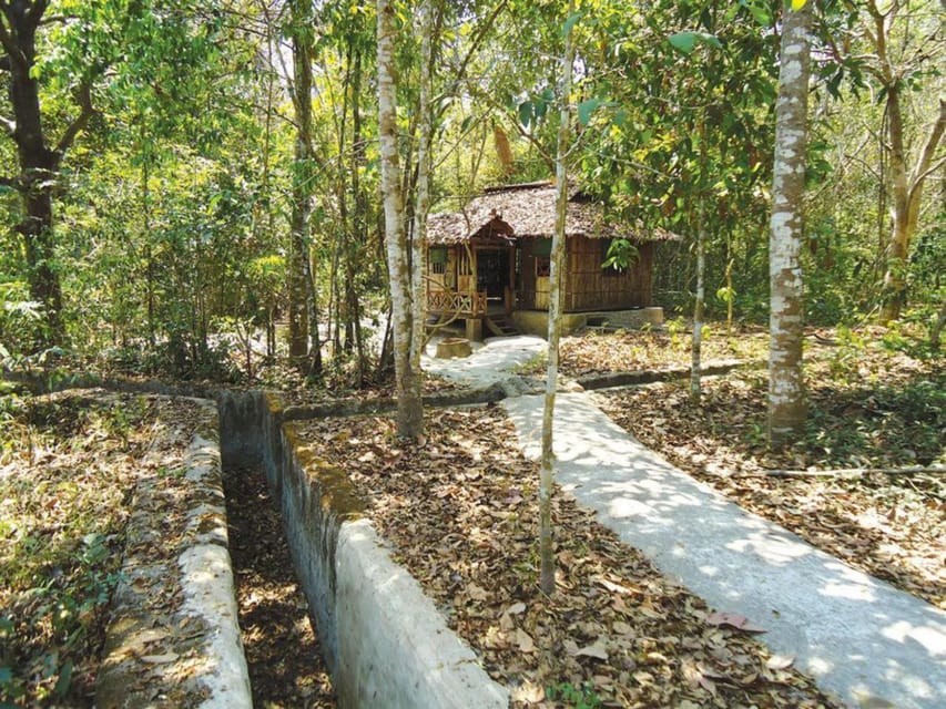 Half-Day Visit Cu Chi Tunnels