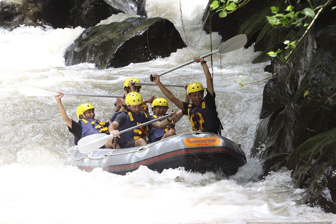 Half Day White Water Rafting Ayung River With Lunch - Activity Overview