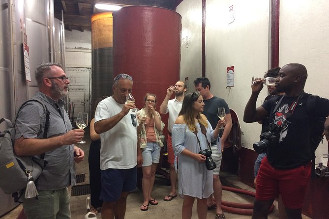 Half Day Wine Tour. Private Tour From Carcassonne and Around.