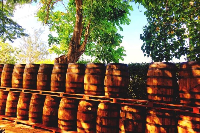 Harrisons Cave and Mount Gay Rum Tour