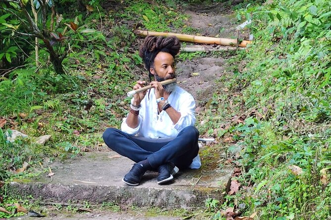 Healing Guided Nature Experience and Waterfall Brunch in Jamaica - Overview of the Experience