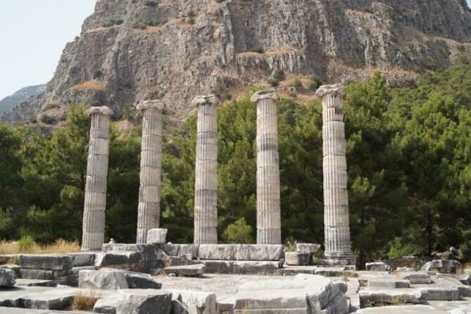 Heart of Aegean: Private Priene – Miletus – Didyma Tour