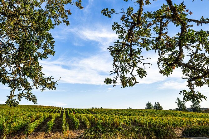 Heart of Willamette Winery Pass : Wine Tastings and Discounts